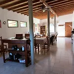 10 PINOS Chapadmalal